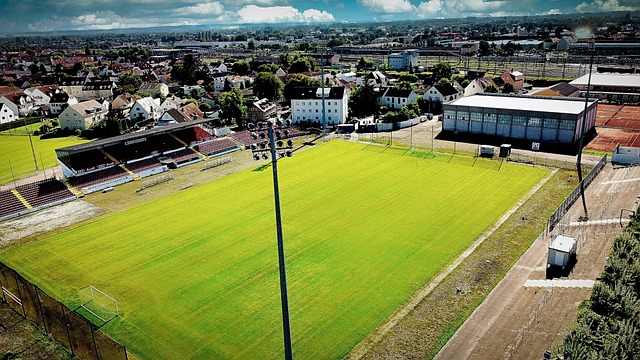 踢球可能会 踢球可能会