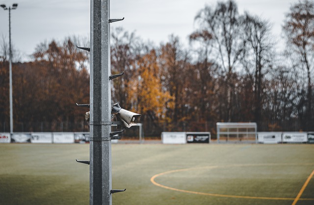 也获得了广 也获得了广