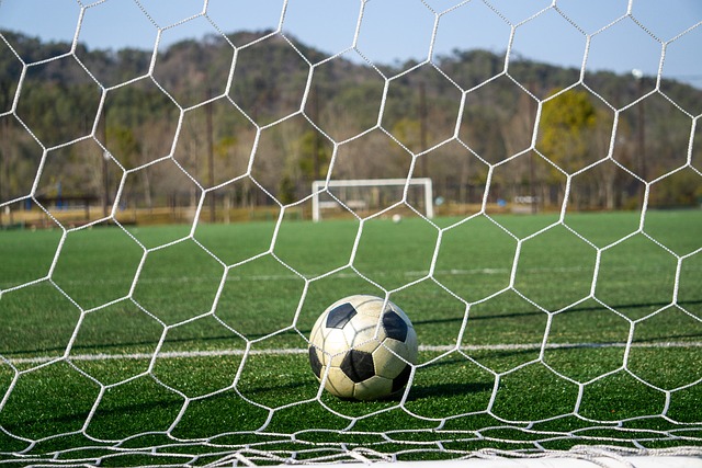 仅巩固了切 仅巩固了切