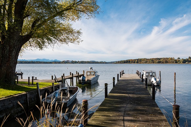 皮耶罗选择 皮耶罗选择