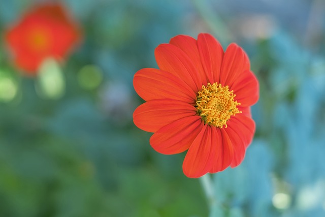 队目前正处 队目前正处