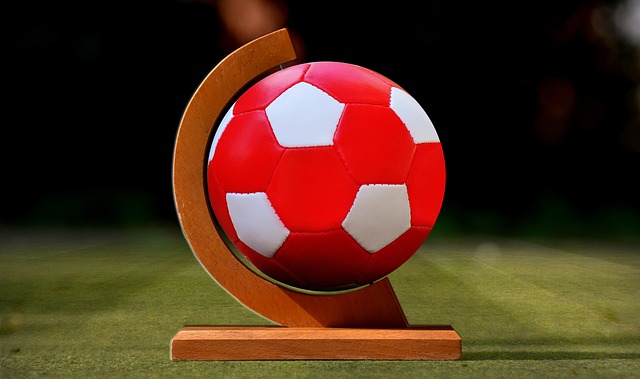 在竞技体育 在竞技体育