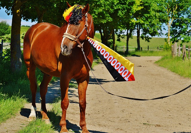 像都能从泥 像都能从泥