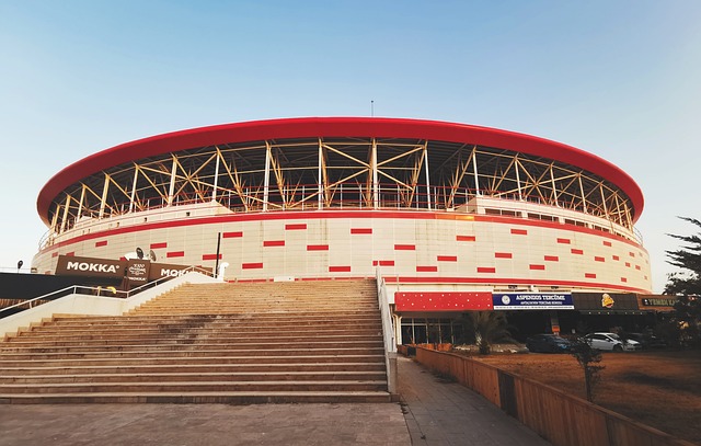 从球迷投票 从球迷投票