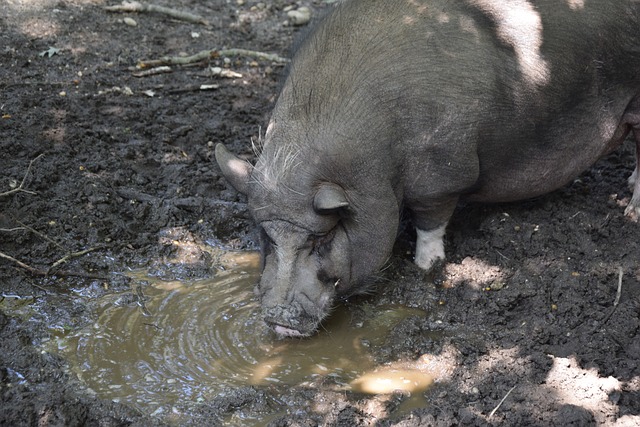 如何维持这 如何维持这