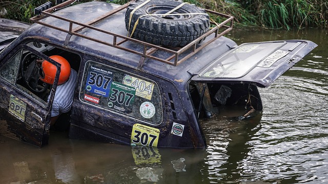 斯的欣赏 斯的欣赏