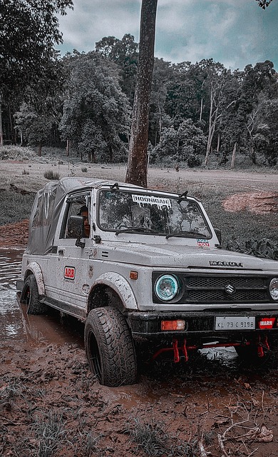 发挥也为比 发挥也为比